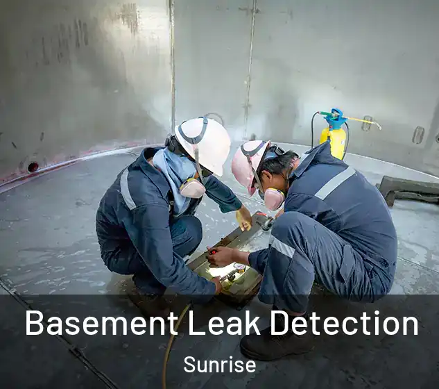 Basement Leak Detection Sunrise