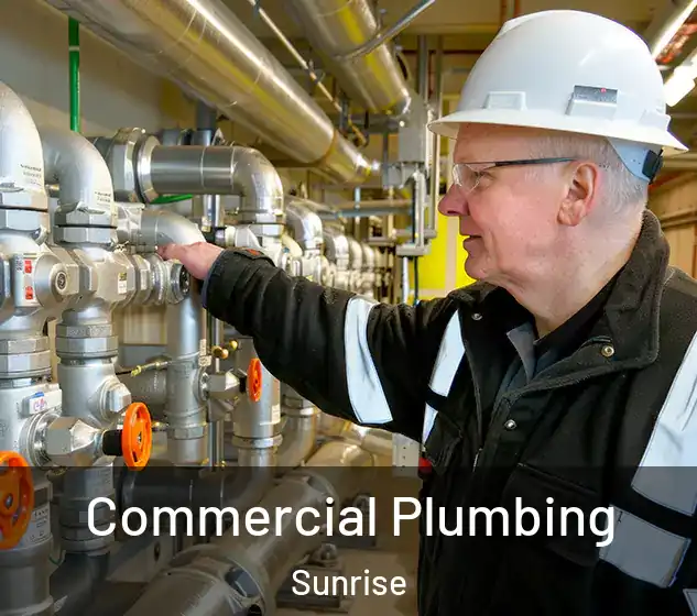  Commercial Plumbing Sunrise