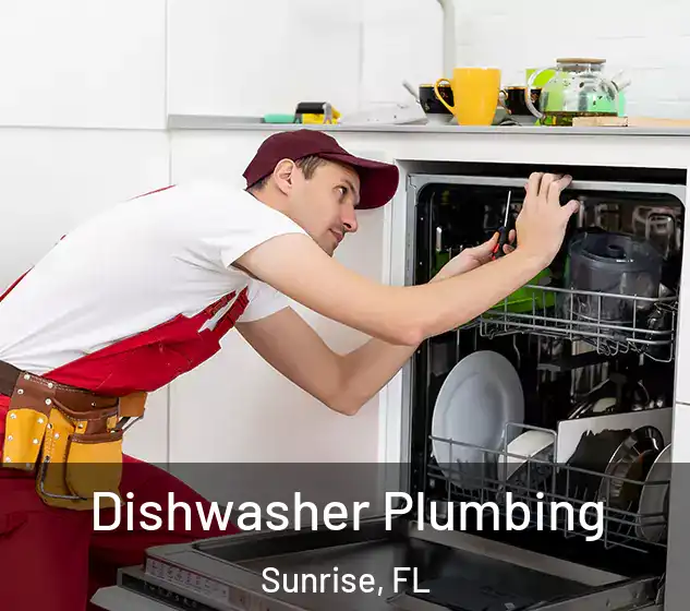  Dishwasher Plumbing Sunrise, FL