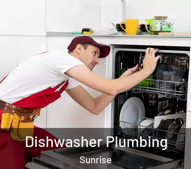  Dishwasher Plumbing Sunrise