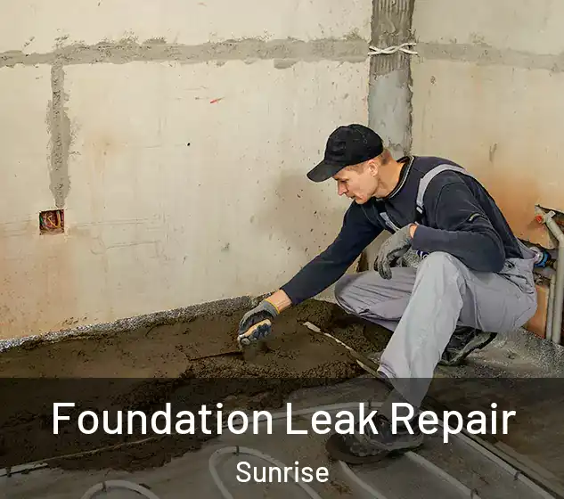 Foundation Leak Repair Sunrise