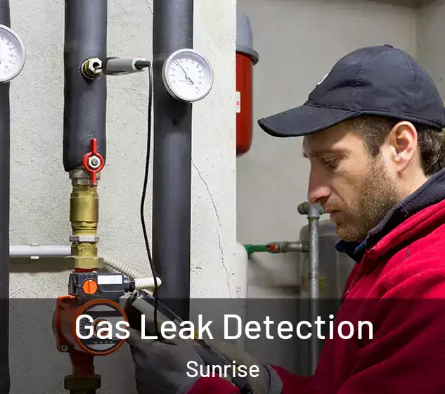  Gas Leak Detection Sunrise