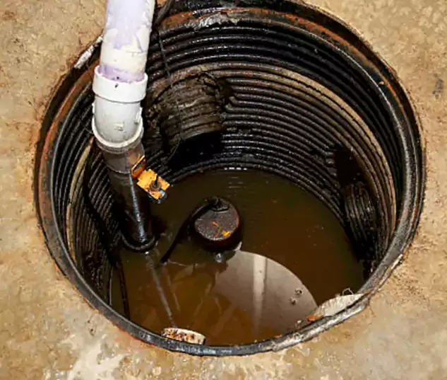 Meet Our Local Sunrise, FL Plumbing Team