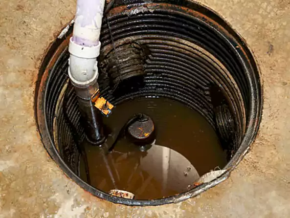 Why Sunrise Plumbing Pro is the First Choice for Sump Pump Maintenance Services in Sunrise, FL?