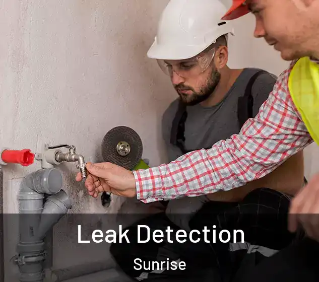  Leak Detection Sunrise