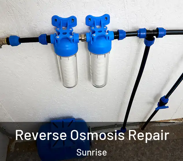  Reverse Osmosis Repair Sunrise