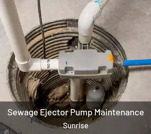  Sewage Ejector Pump Maintenance Sunrise
