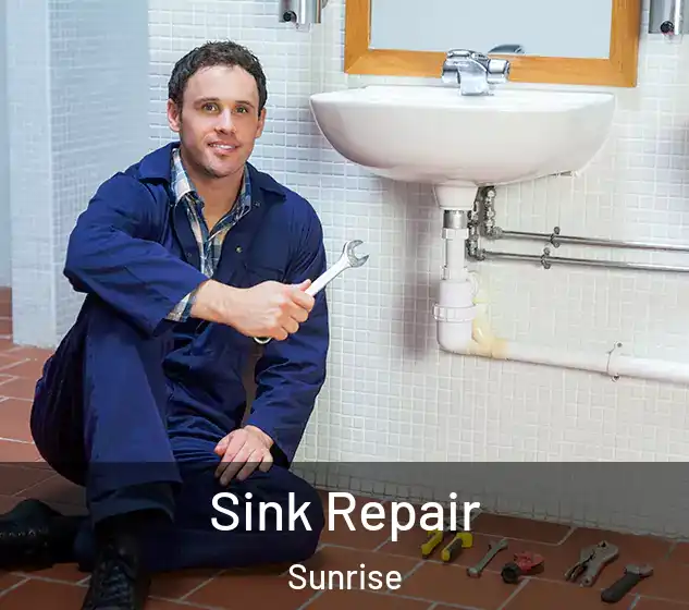  Sink Repair Sunrise