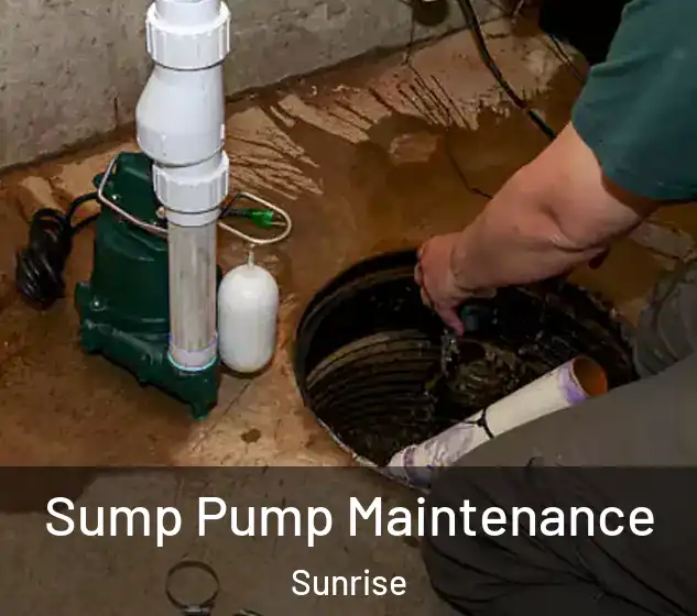  Sump Pump Maintenance Sunrise