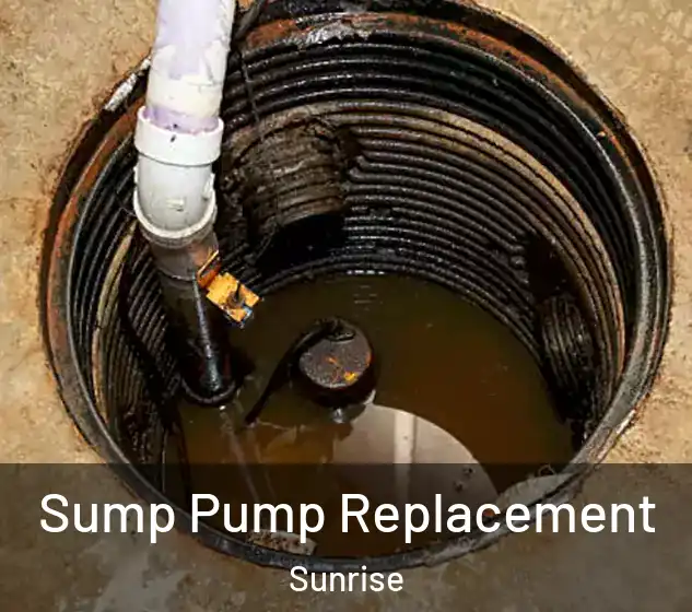  Sump Pump Replacement Sunrise