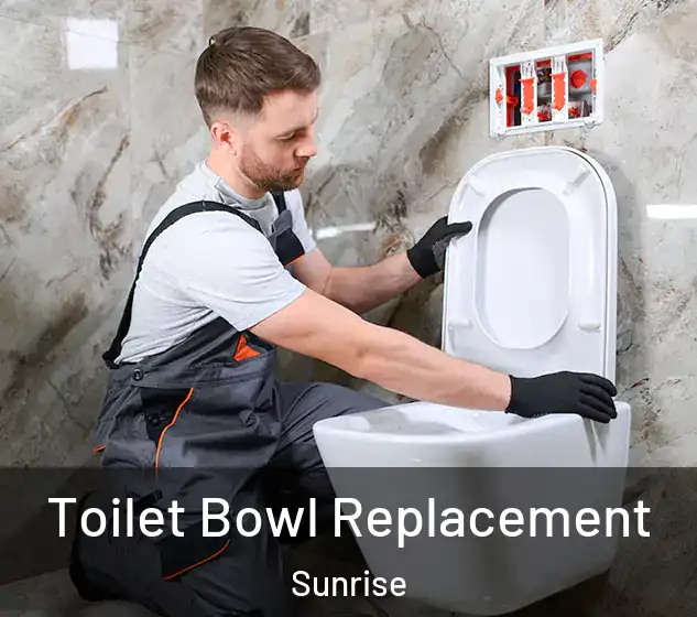  Toilet Bowl Replacement Sunrise