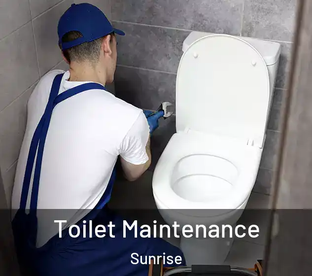  Toilet Maintenance Sunrise