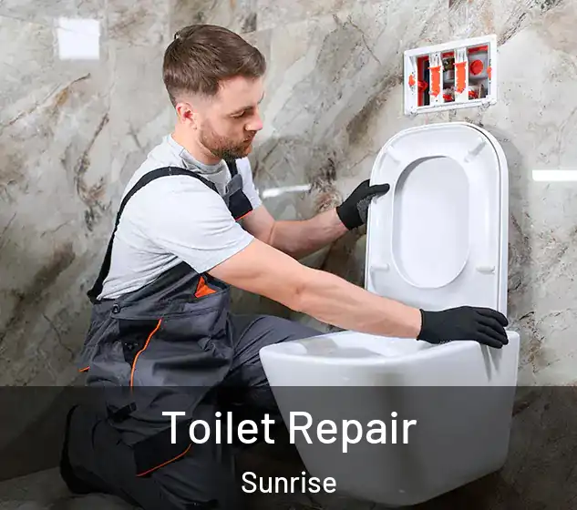  Toilet Repair Sunrise
