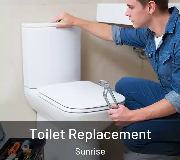  Toilet Replacement Sunrise