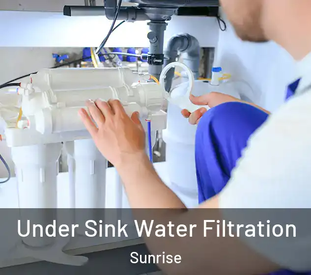  Under Sink Water Filtration Sunrise