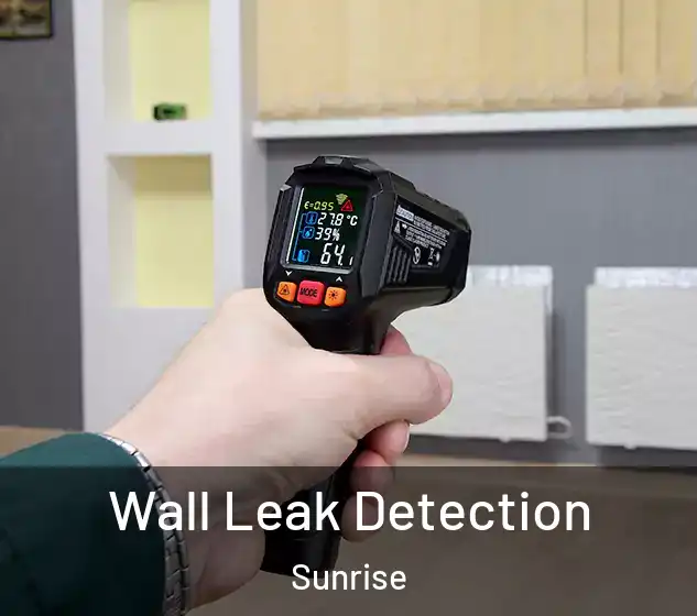  Wall Leak Detection Sunrise