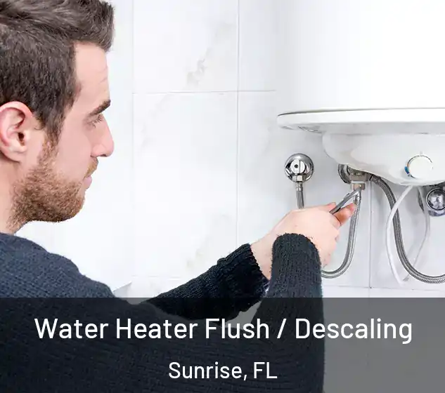  Water Heater Flush / Descaling Sunrise, FL