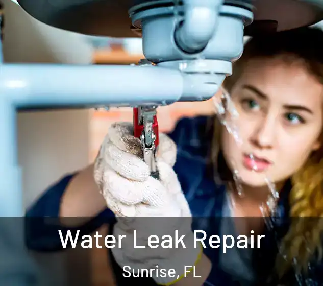  Water Leak Repair Sunrise, FL