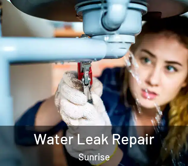  Water Leak Repair Sunrise