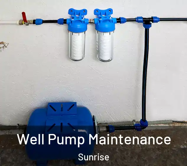  Well Pump Maintenance Sunrise