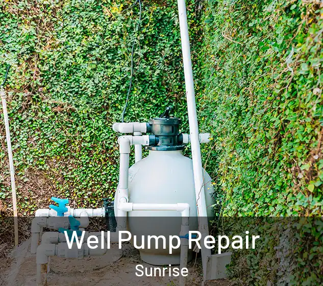  Well Pump Repair Sunrise